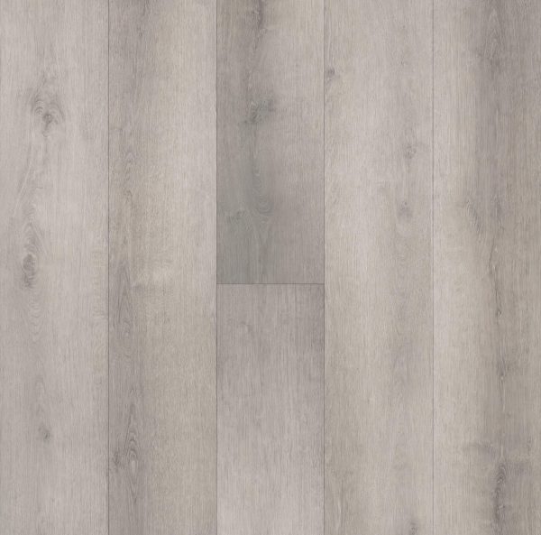 C4123 Moonlit Grey