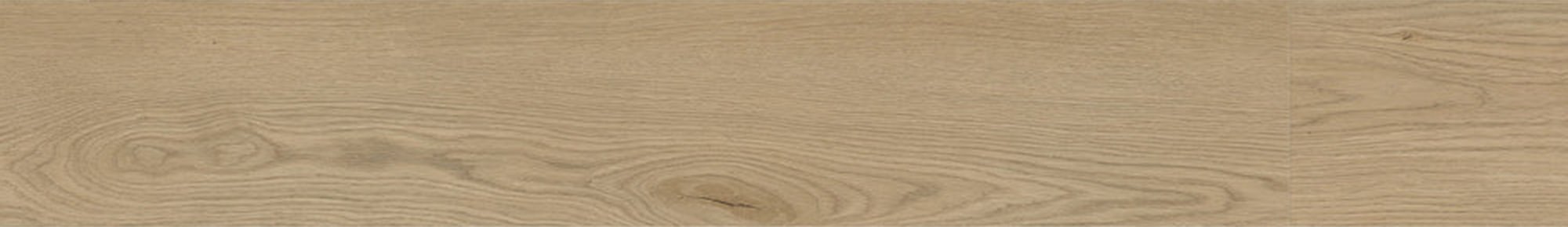 Century Oak