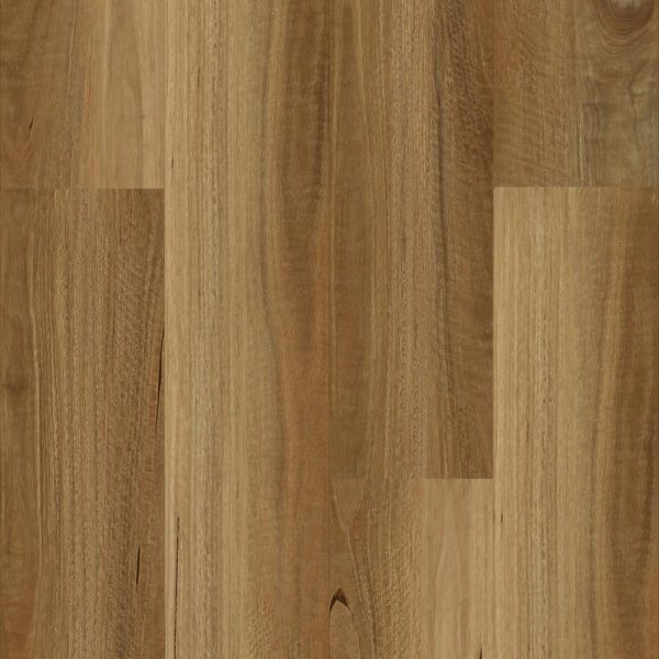 Nsw Spotted Gum