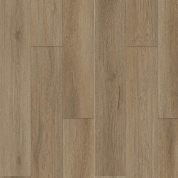 Pale Oak