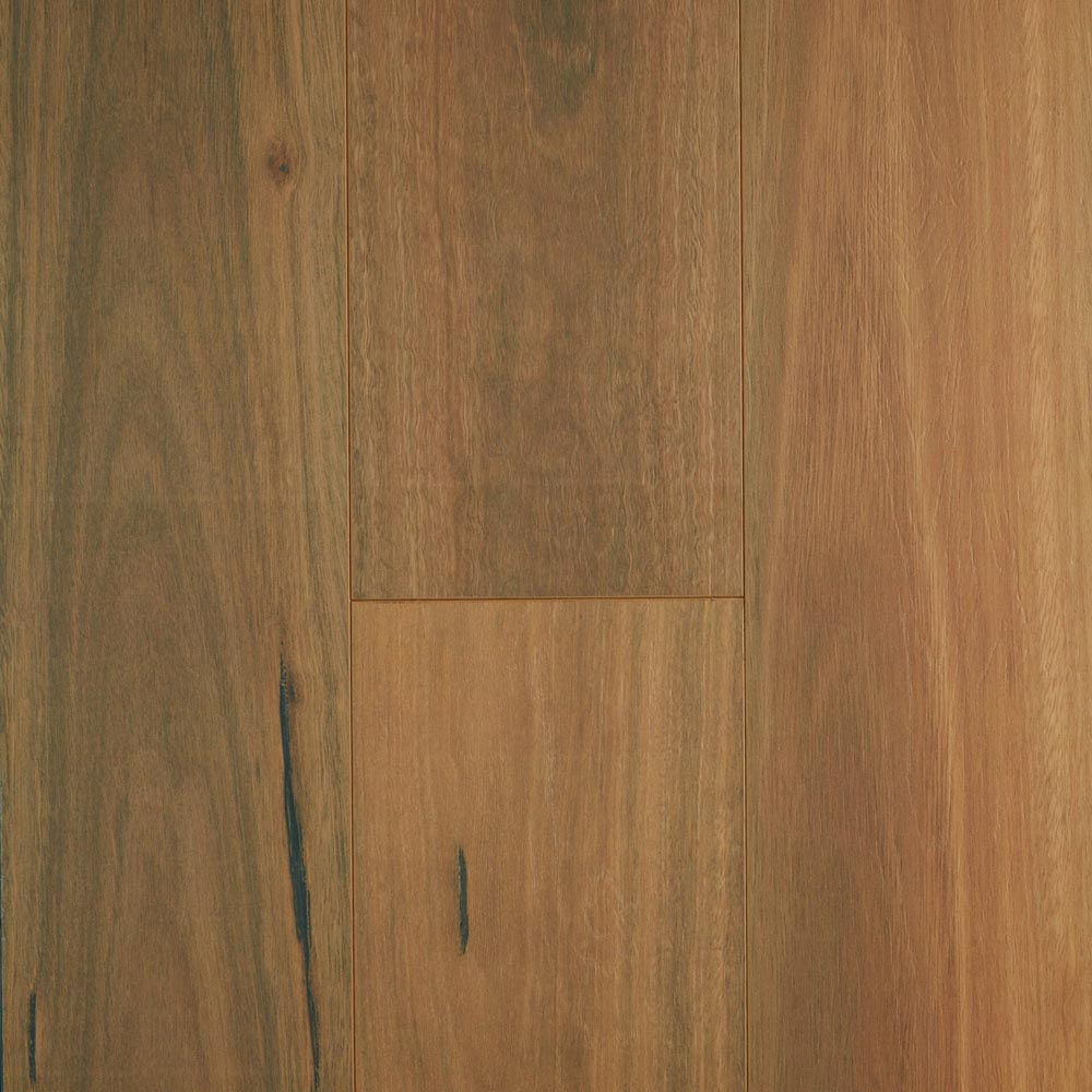 Spotted Gum