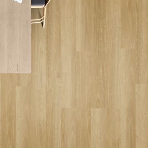 Prime Blackbutt 545