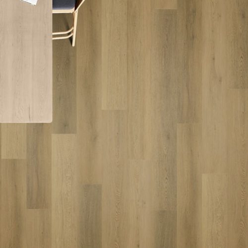Stellar Oak 350